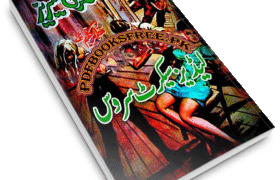 Ladies Secret Service Novel by Mazhar Kaleem M.A