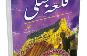 Qillah Jungi Novel By Mustnsar Hussain Tarar Pdf Free Download