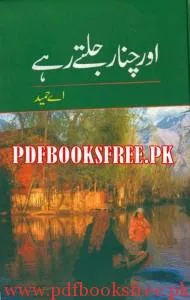 Aur Chanar Jalte Rahe Novel By A. Hameed Pdf Free Download