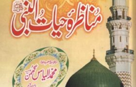 Munazra-e-Hayat-un-Nabi s.a.w By Muhammad Ilyas Ghumman Pdf Free Download