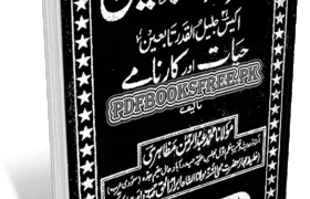 Seerat ut Tabieen By Maulana Muhammad Abdur Rahman Mazahiri