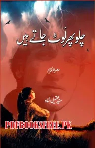 Chalo Phir Laut Jate Hain By Syed Aqeel Shah