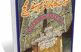 Aurat Ka Bila Mahram Safar-e-Hajj By Mufti Shams Uddin Noor Pdf Free Download