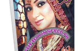 Aanchal Digest November 2011 Pdf Free Download