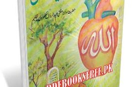 Allah Ko Yaad Rakkain By Mufti Abdur Rauf Sakkarvi Pdf Free Download
