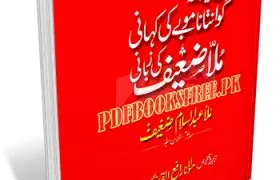 Guantanamo bay Ki Kahani By Mullah Abdussalam Zaif Pdf Free Download