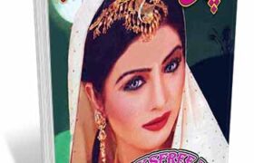 Aanchal Digest January 2012 Pdf Free Download