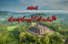 History of Borobudur Temple in Urdu