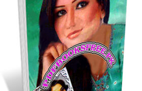 Sachi Kahaniyaan Digest January 2012 Pdf Free Download