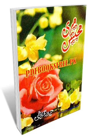 Meri Mohabbatain By Haider Qureshi Pdf Free Download