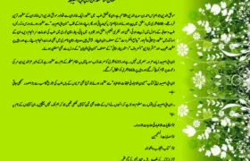 A Brief History of Ibn Abi Asibah in Urdu