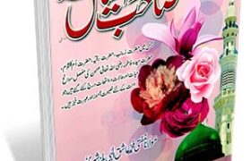 Rasulullah Sallallahu Alaihi Wasallam Ki Sahibzadiyan Book Pdf Free Download