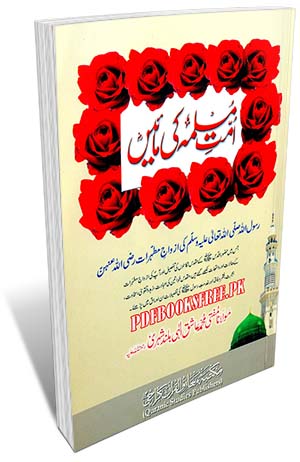Ummat e Muslima Ki Maain By Maulana Ashiq Elahi Pdf Free Download