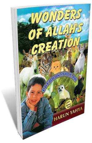 Wonders of Allah's Creation By Harun Yahya Pdf Free Download