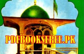 Hazrat Bibi Pak Daman History Urdu Pdf Free Download