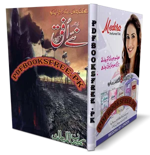 Monthly Naye Ufaq Digest August 2012 Pdf Free Download