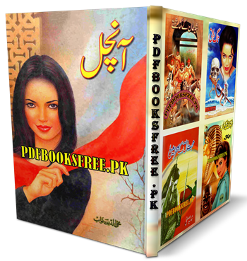 Aanchal Novel By Mohiuddin Nawab Pdf Free Download