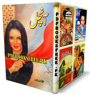 Aanchal Novel By Mohiuddin Nawab Pdf Free Download