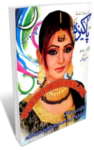 Pakeeza Digest November 2012 Pdf Free Download