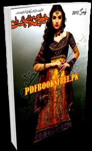 Khawateen Digest November 2012 Pdf Free Download