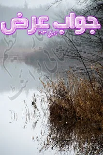 Jawab e Arz Digest Januray 2013 Free Download Jawab e Arz Digest January 2013