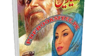 Ideal Novel by Amna Ameen