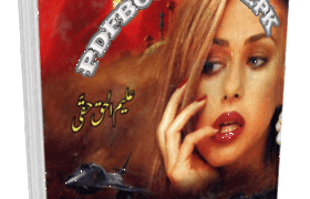 Dehshat Saz Novel By Aleem ul Haq Haqqi