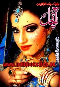 Aanchal Digest November 2013