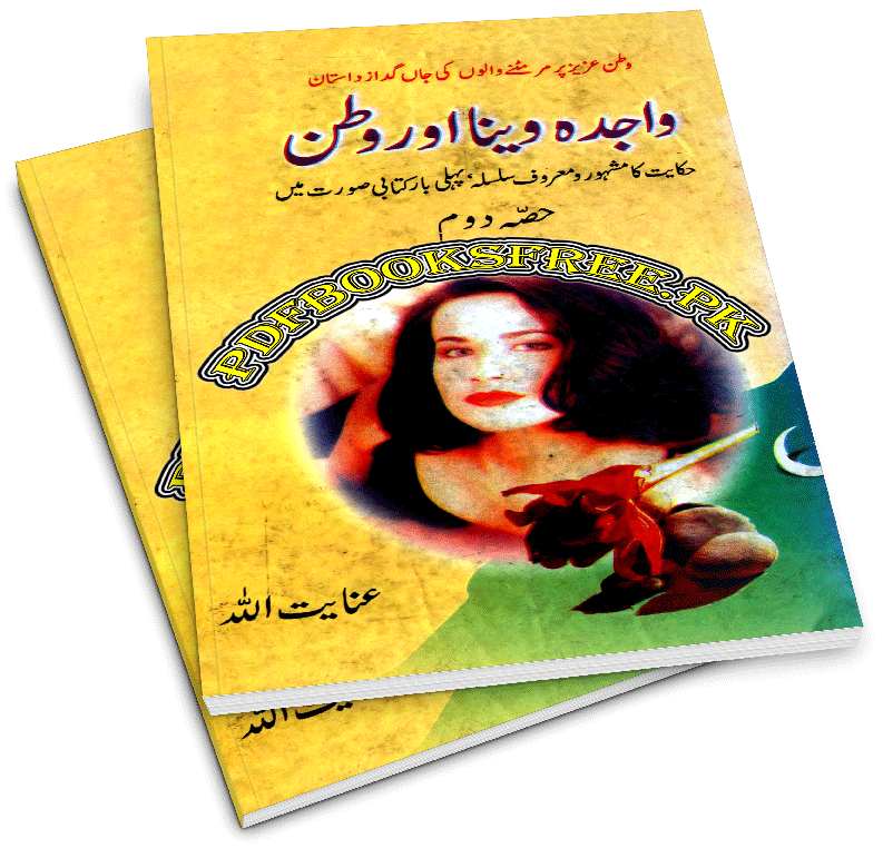 Wajida Veena Aur Watan Novel By Inayatullah