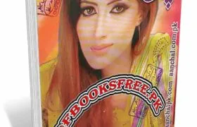 Aanchal Digest March 2014 Pdf Free Download