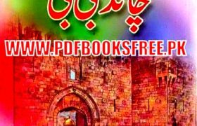 Chand Bibi History in Urdu By Aslam Rahi M.A Pdf Free Download