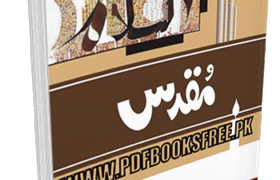 Muqaddas Novel 4 Volumes Complete By Hashim Nadeem