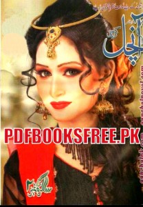 Aanchal Digest May 2014 Pdf Free Download