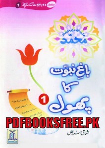 Bagh e Nabuwat Ka Phool Hazrat Hassan Bin Ali r.a Pdf Free Download