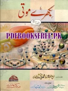 Bikhre Moti By Maulana Muhammad Yunus Palanpuri Pdf Free Download