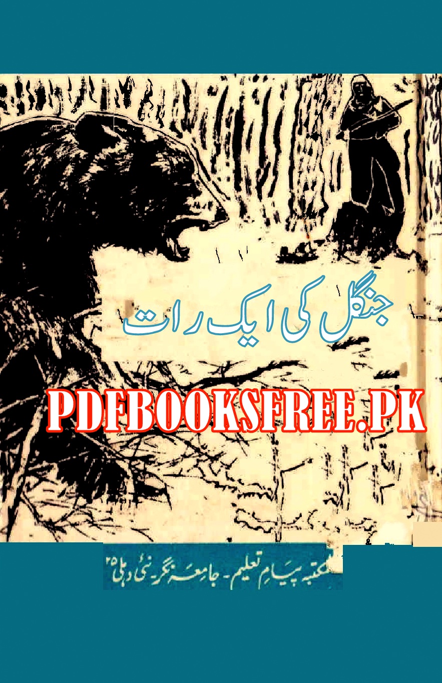 Jungle Ki Aik Raat Novel by Rehan Ahmed Abbasi Pdf Free Download