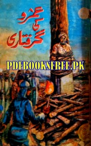 Umro Ki Giraftari Novel by Aktar Rizvi Pdf Free Download