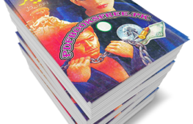 Tiger Novel Complete 13 Volumes by Mushtaq Ahmed Qureshi