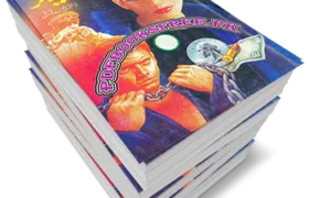 Tiger Novel Complete 13 Volumes by Mushtaq Ahmed Qureshi