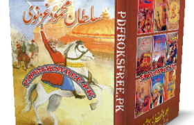 Sultan Mahmood Ghaznavi by Mubeen Rasheed Pdf Free Download