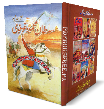 Sultan Mahmood Ghaznavi by Mubeen Rasheed Pdf Free Download