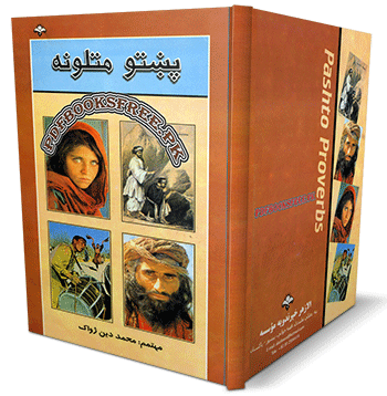 Pashto Matalona book by Muhammad Din Zhwak