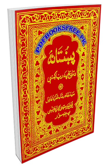 Pukhtana Da Tareekh Pa Ranra Ke by Syed Bahadur Shah Zafar Kakakhel