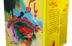 Baagh Novel by Abdullah Hussain