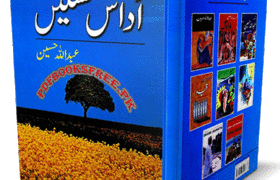 Udaas Naslain Novel by Abdullah Hussain