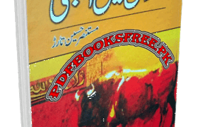 Undulas Men Ajnabi Book by Mustansar Husain Tarar Pdf Free Download