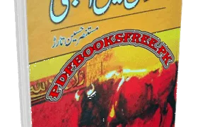 Undulas Men Ajnabi Book by Mustansar Husain Tarar Pdf Free Download