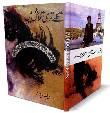Niklay Teri Talash Mein by Mustansar Hussain Tarar Pdf Free Download