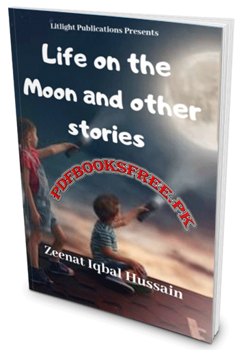 Life on the Moon and other stories by Zeenat Iqbal Hussain