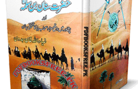 Hazrat e Sinan Bin Salma by Ziaullah Khan Jadoon